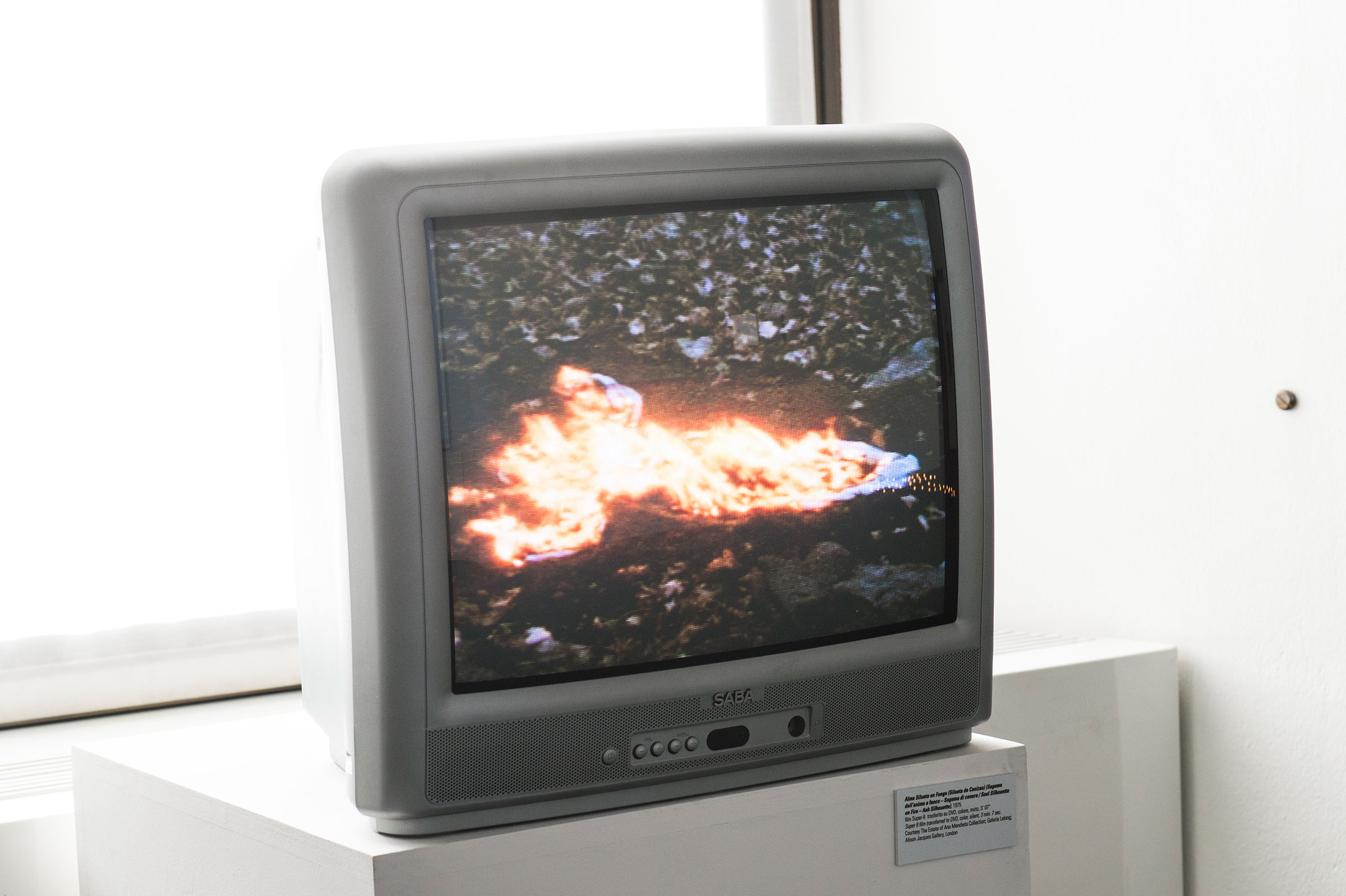 Ana Mendieta, Alma Silueta en Fuego, 1975